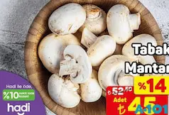 TABAK MANTAR ADET TABAK MANTAR ADET